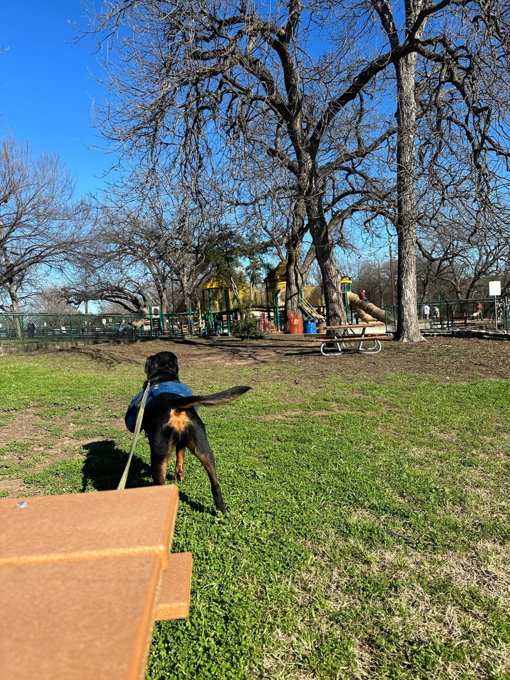 Mini Golf and Massive&nbsp;Parks